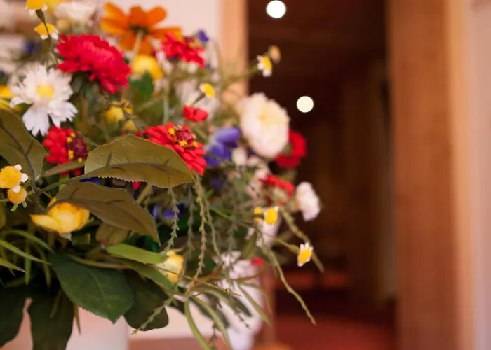 Πανσιόν Alwin