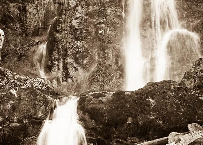 Πανσιόν Alwin